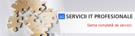 Servicii Profesionale: Analiză de Proiect, Dezvoltare Software, Design Grafic, Integrare de Sistem, Securitate Sistem - IST